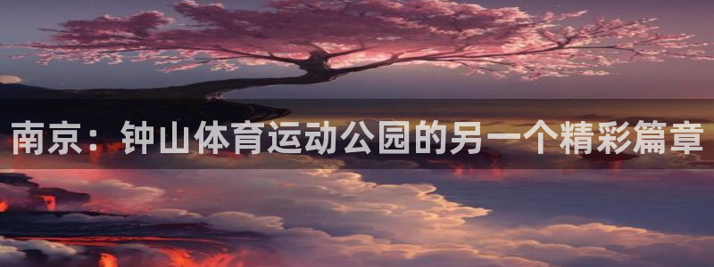 vsport体育官方正版app娱乐40996：南京：钟山体育
