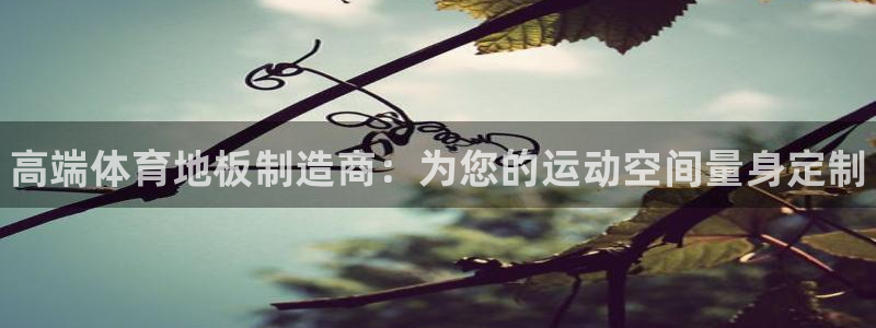 海南vsport体育官网下载发展怎么样：高端体育地板