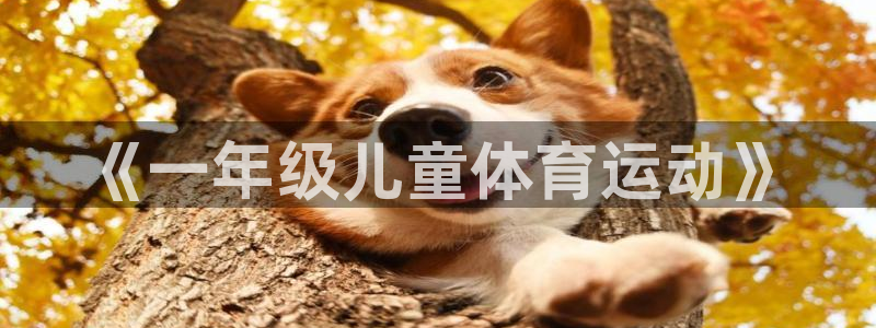 vsport体育官方正版app开户：《一年级儿童体育运动》