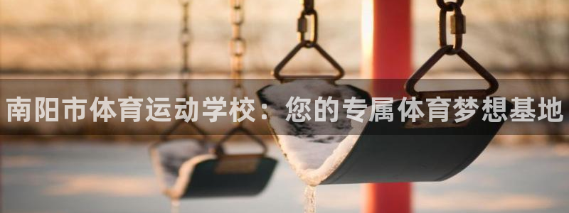 vsport体育官方集团官网：南阳市体育运动学校：您的专属体