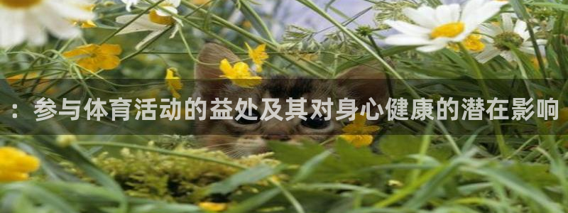 vsport体育官方正版app集团logo：：参与体育活动的