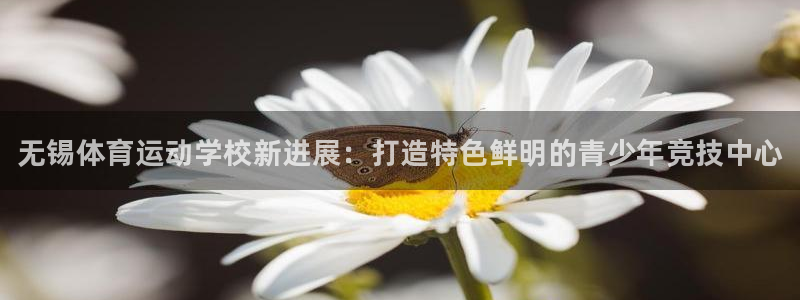 vsport体育官网下载招商电话号码查询是多少：无锡体育运动