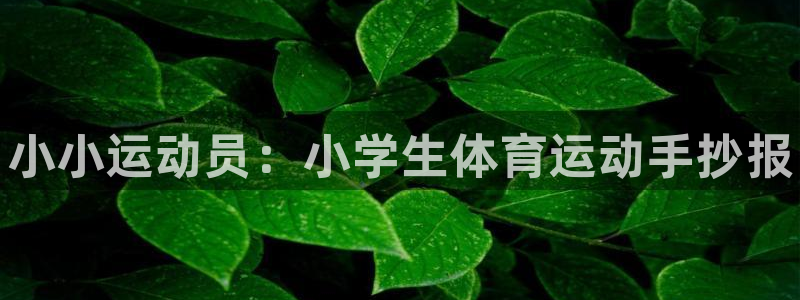 vsport体育官网下载平台是正规平台吗安全吗：小小