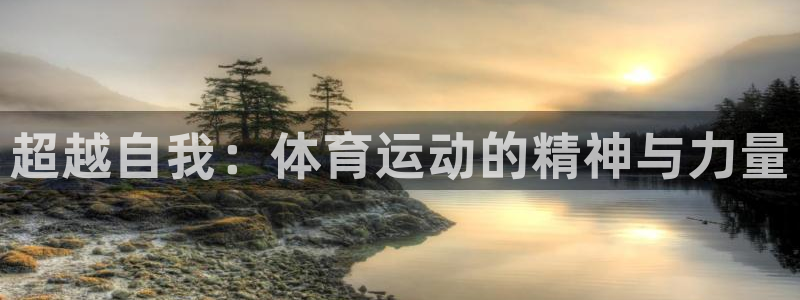 vsport体育官网下载平台注册要钱吗安全吗：超越自