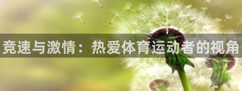 vsport体育官方正版app娱乐首页网站大全：竞速