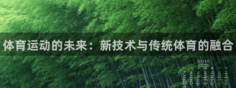 vsport体育官方正版app集团官网网址：体育运动