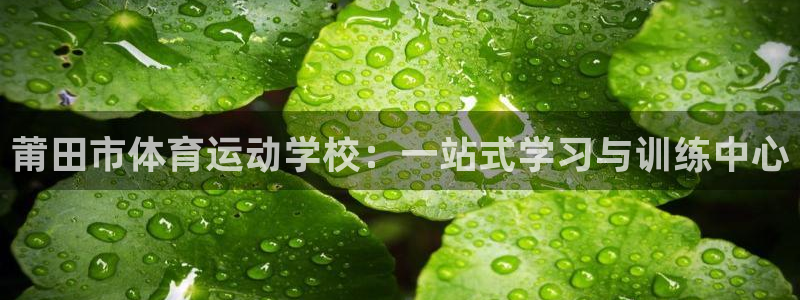 德国vsport体育官方正版app集团：莆田市体育运