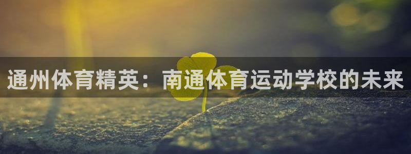 德国vsport体育官方正版app集团：通州体育精英