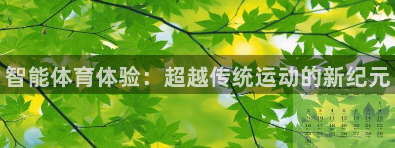 vsport体育官方正版app五金厂：智能体育体验：