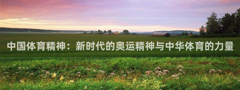 vsport体育官方正版app娱乐是那个系列的台子：