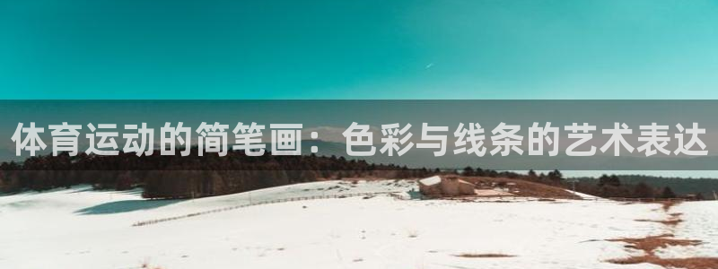 vsport体育官方正版app集团简介：体育运动的简