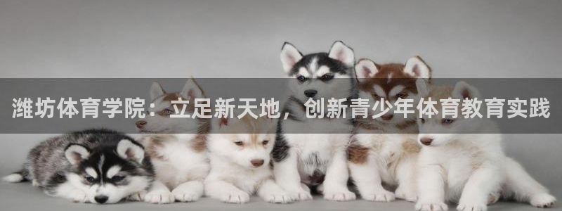 vsport体育官网下载：潍坊体育学院：立足新天地，