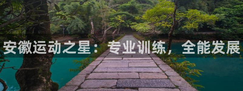 vsport体育官网下载平台APP：安徽运动之星：专