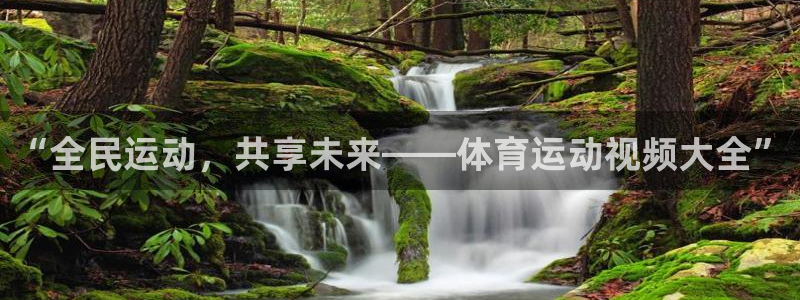 vsport体育官方正版app集团logo