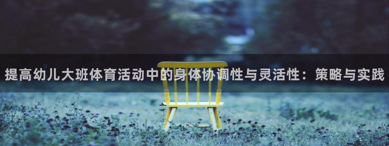 vsport体育官方正版app娱乐网站：提高幼儿大班