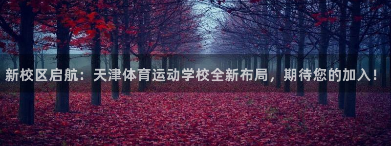 海南vsport体育官网下载发展怎么样