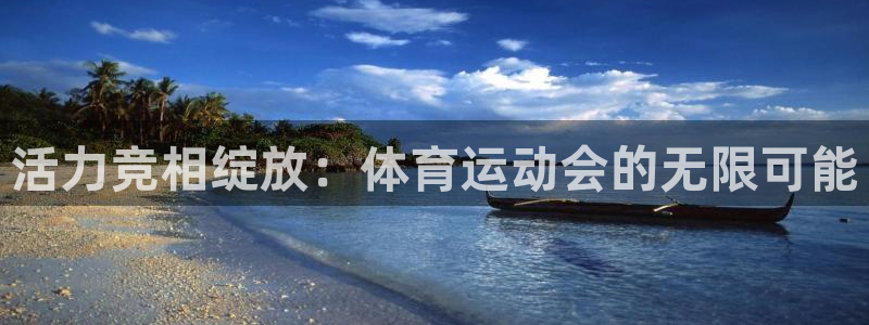 vsport体育官网下载平台是正规平台吗