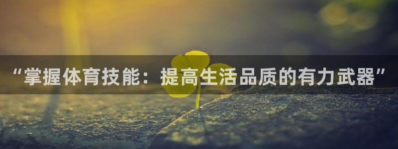 vsport体育官方正版app代理