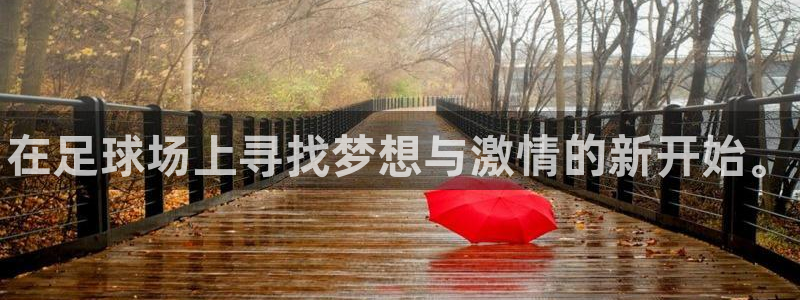 德国vsport体育官方正版app集团：在足球场上寻找梦想与