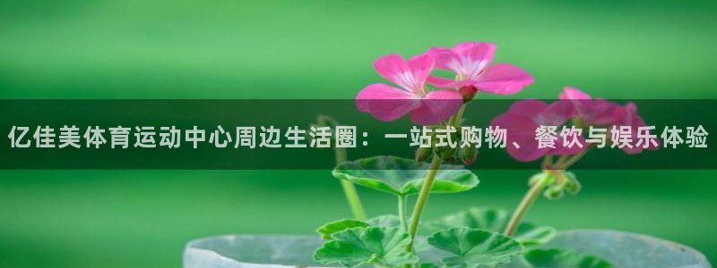 vsport体育官方正版app娱乐是那个系列的台子：亿佳美体