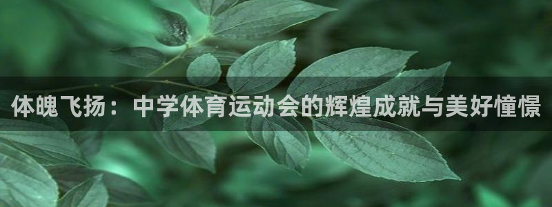 vsport体育官网下载