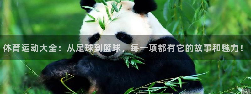 vsport体育官网下载平台是正规平台吗知乎